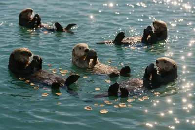 Sea Otters Just Discovered “Tool Time” And Honestly They’re Better At It Than Us