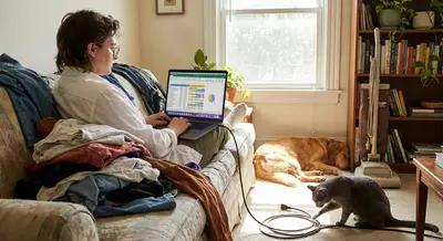 Domestic Minimal Effort: The Art Of Looking Productive While Doing Almost Nothing