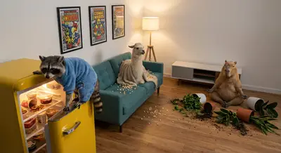 Plot Twist Pets: Wild Animal Behaviors That Feel Weirdly Relatable